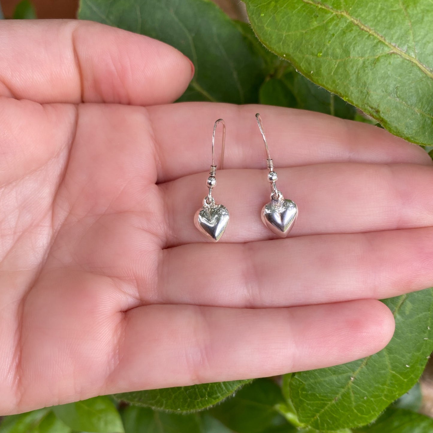 Heart Earrings