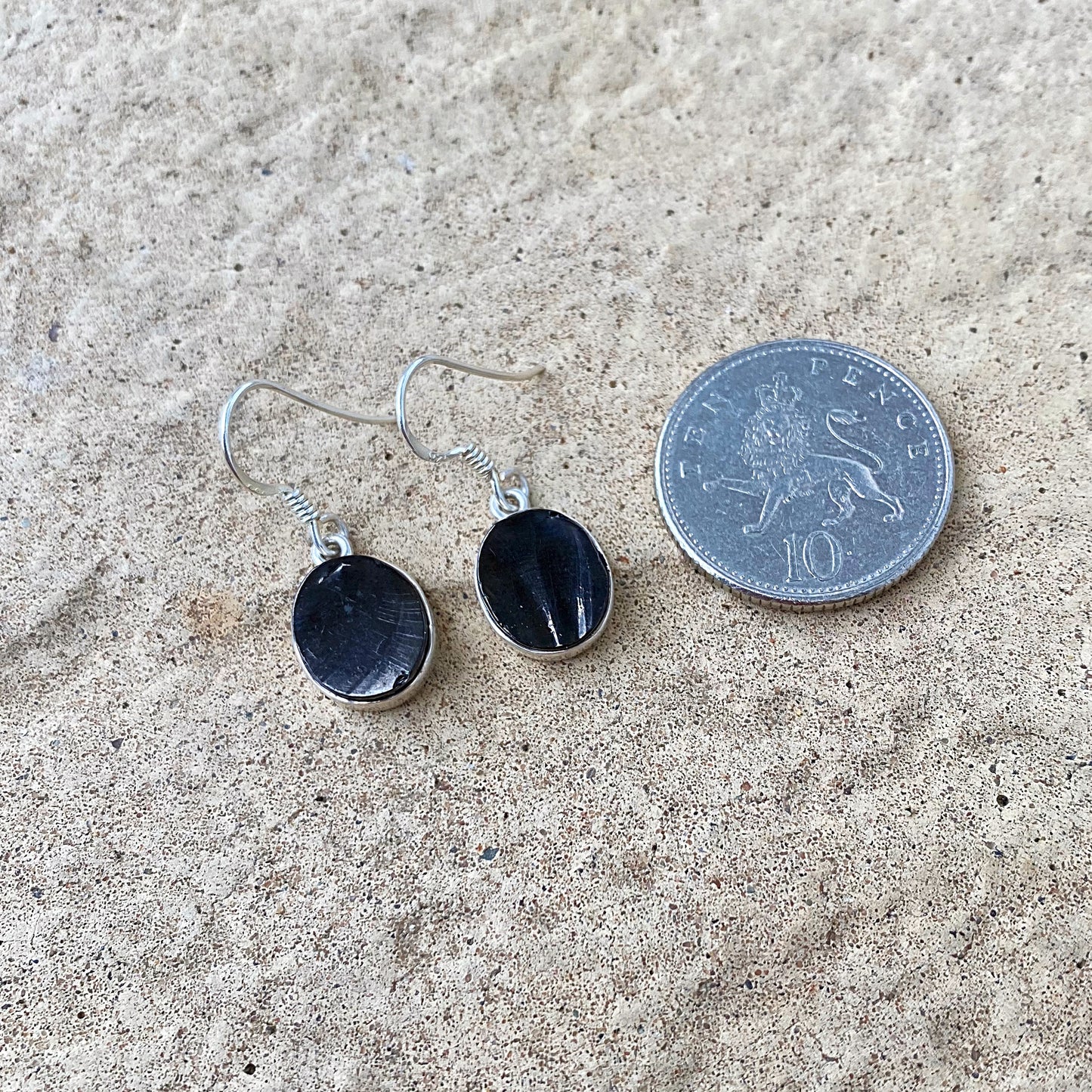 Shungite Earings