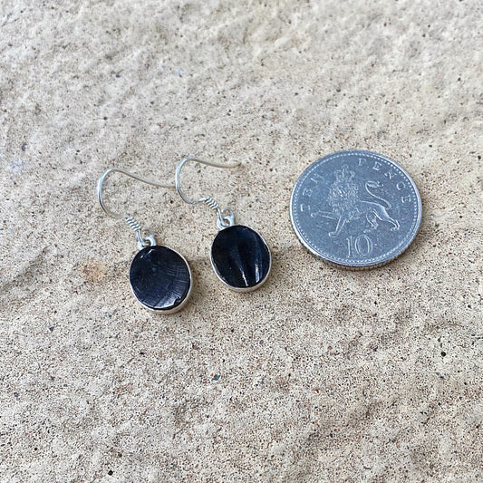 Clearance - Shungite Earrings