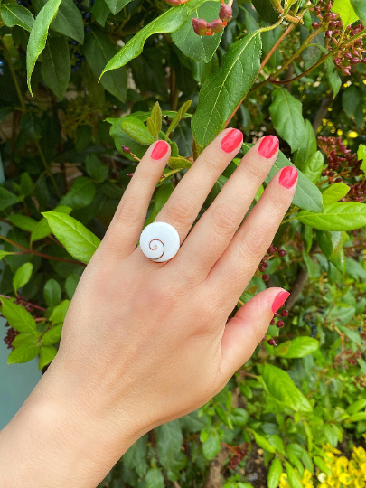 Shiva 2025 shell ring